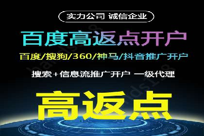 某企业SEM广告投放的ROI提升策略及效果展示